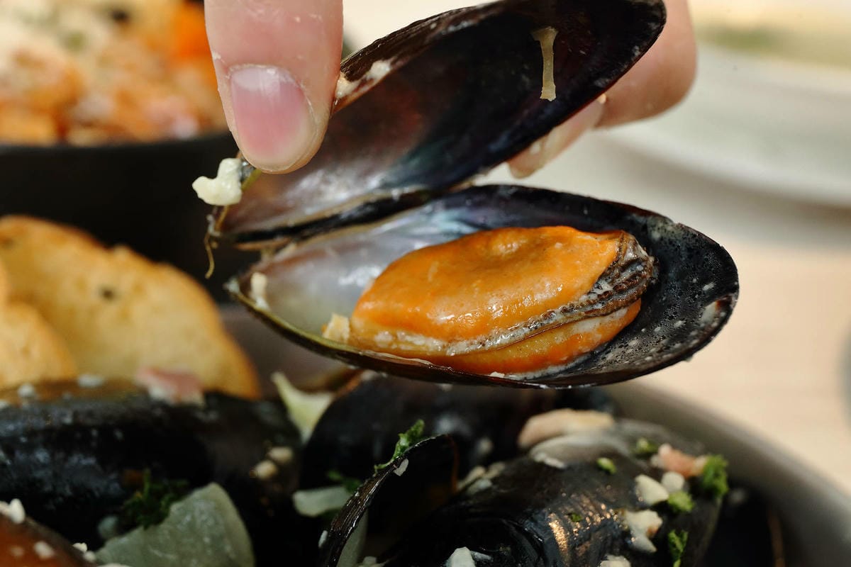 2025嘉義網美景點推薦！蓋婭莊園x康倪時代美學生技園區，全