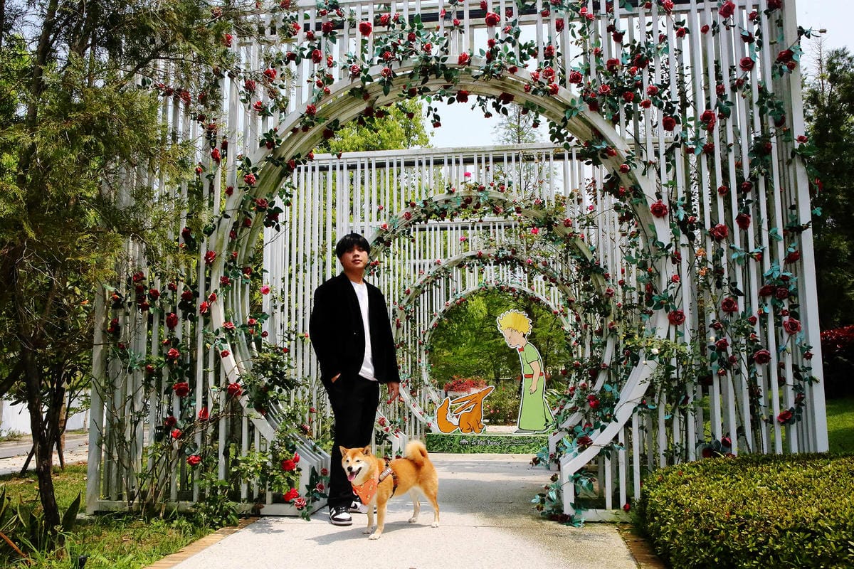 2025嘉義網美景點推薦！蓋婭莊園x康倪時代美學生技園區，全