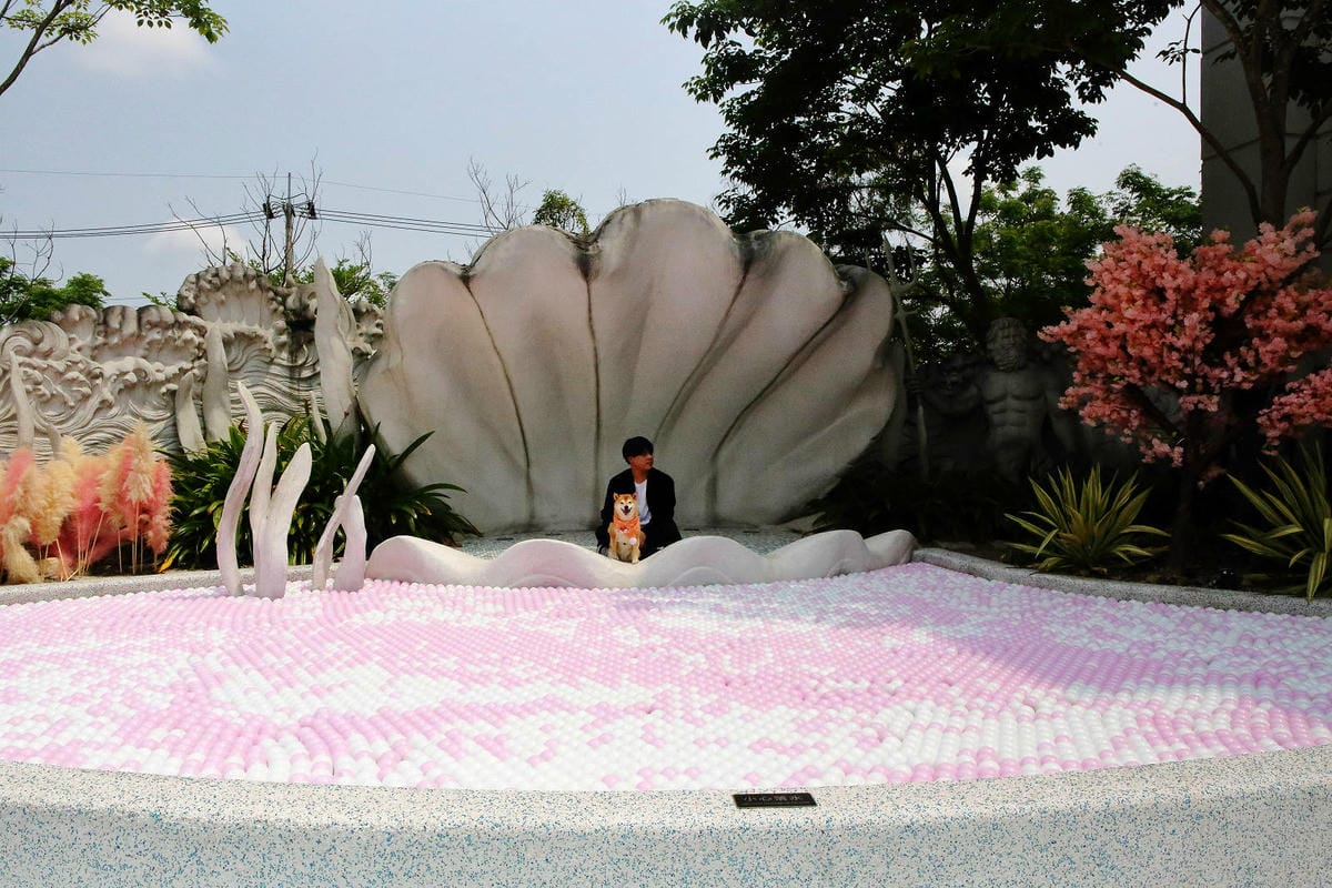 2025嘉義網美景點推薦！蓋婭莊園x康倪時代美學生技園區，全