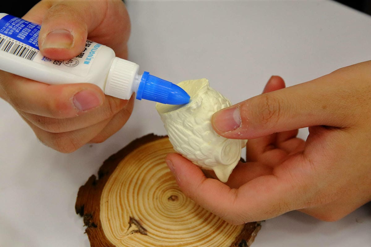 2025嘉義網美景點推薦！蓋婭莊園x康倪時代美學生技園區，全