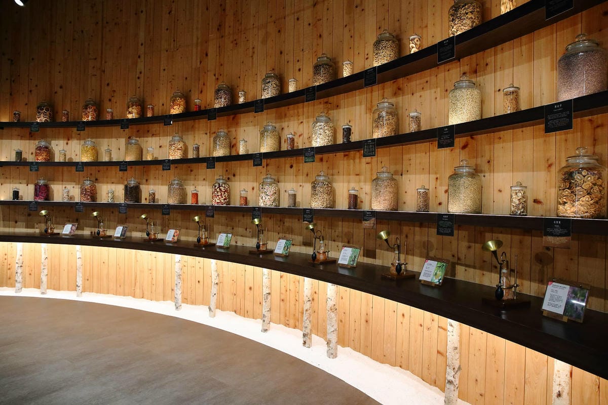 2025嘉義網美景點推薦！蓋婭莊園x康倪時代美學生技園區，全