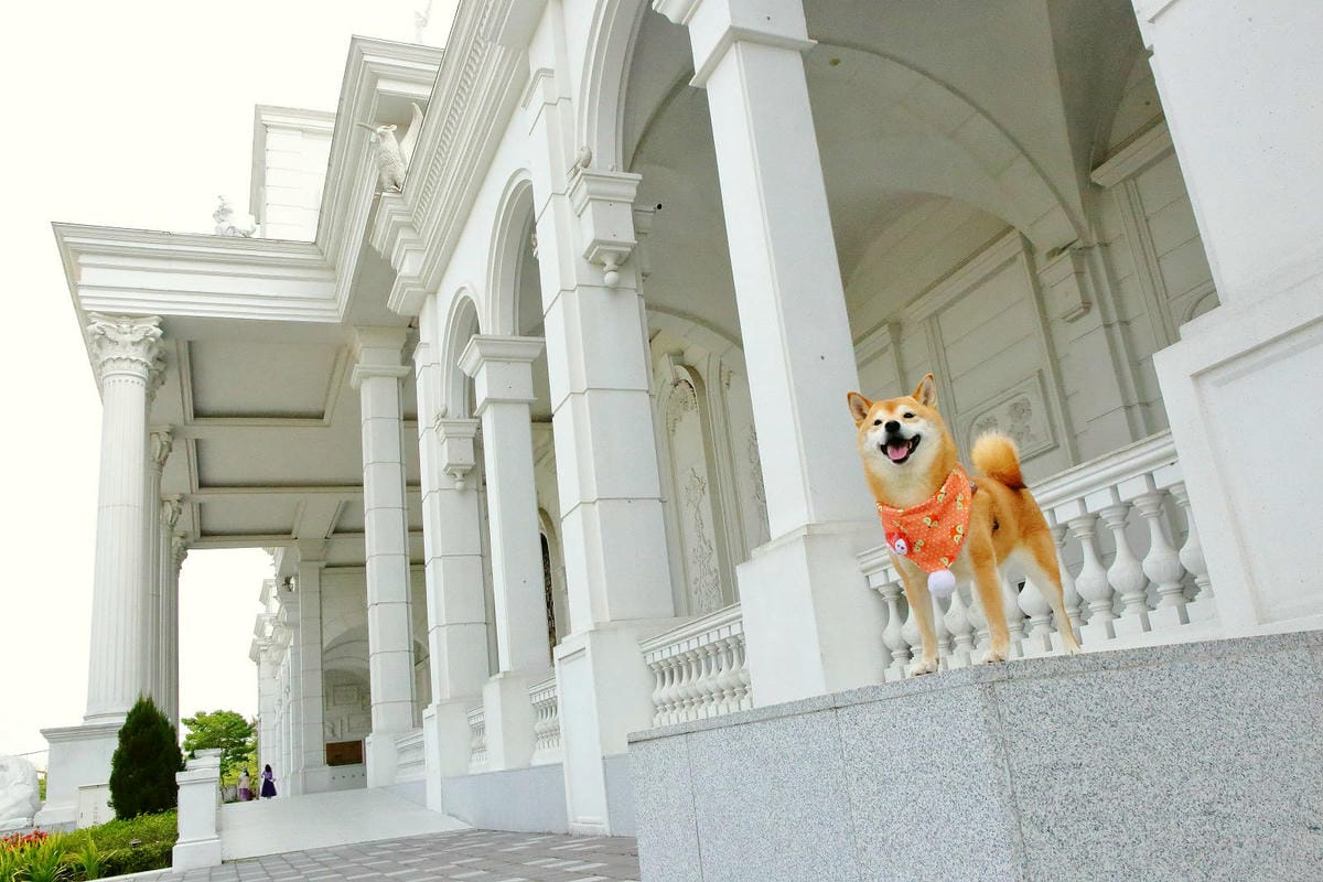 2025嘉義網美景點推薦！蓋婭莊園x康倪時代美學生技園區，全