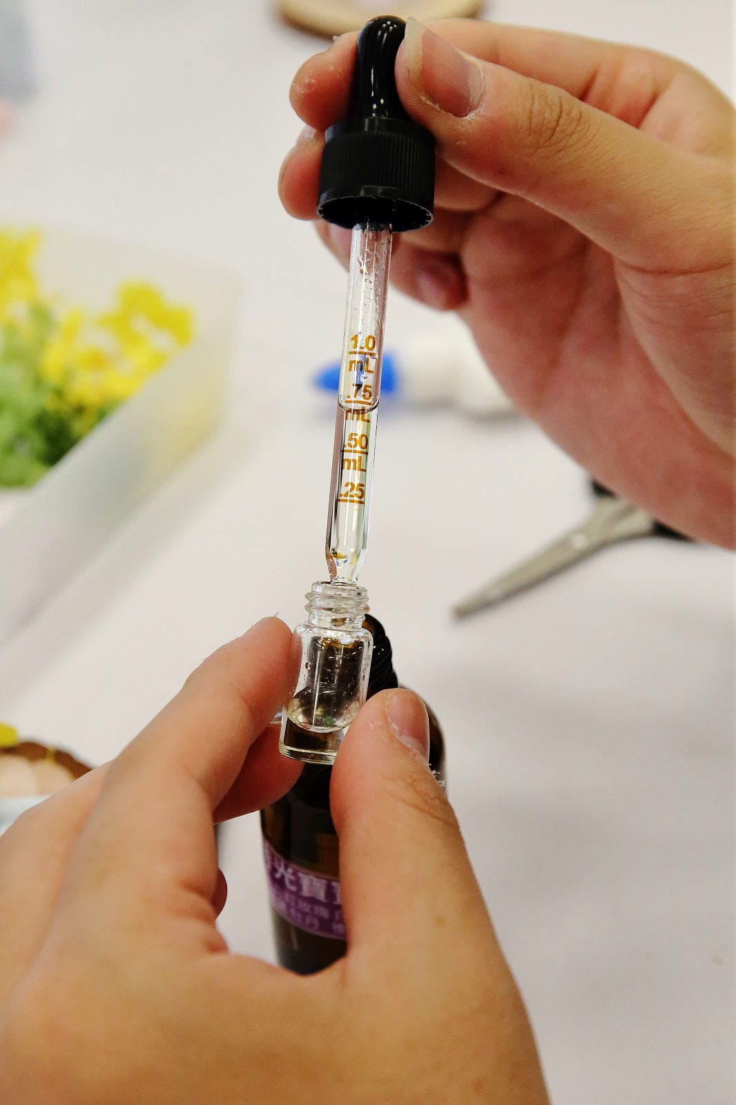 2025嘉義網美景點推薦！蓋婭莊園x康倪時代美學生技園區，全