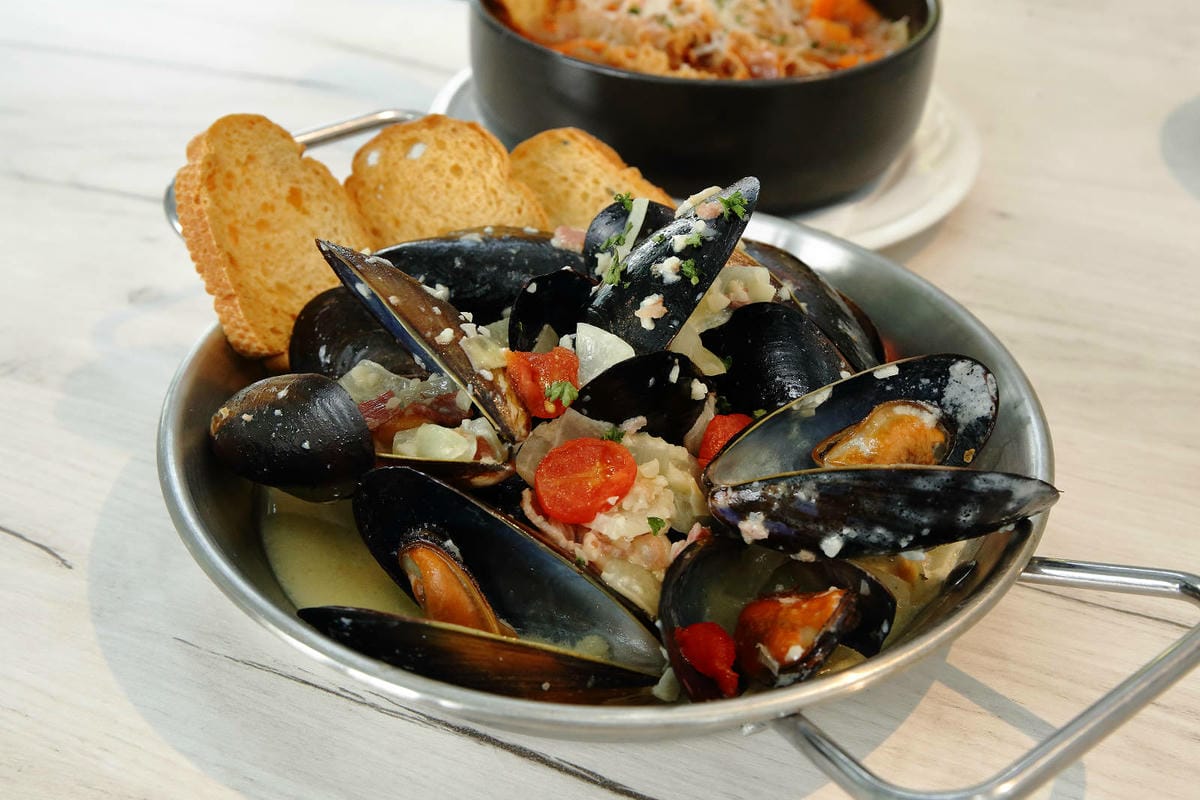 2025嘉義網美景點推薦！蓋婭莊園x康倪時代美學生技園區，全