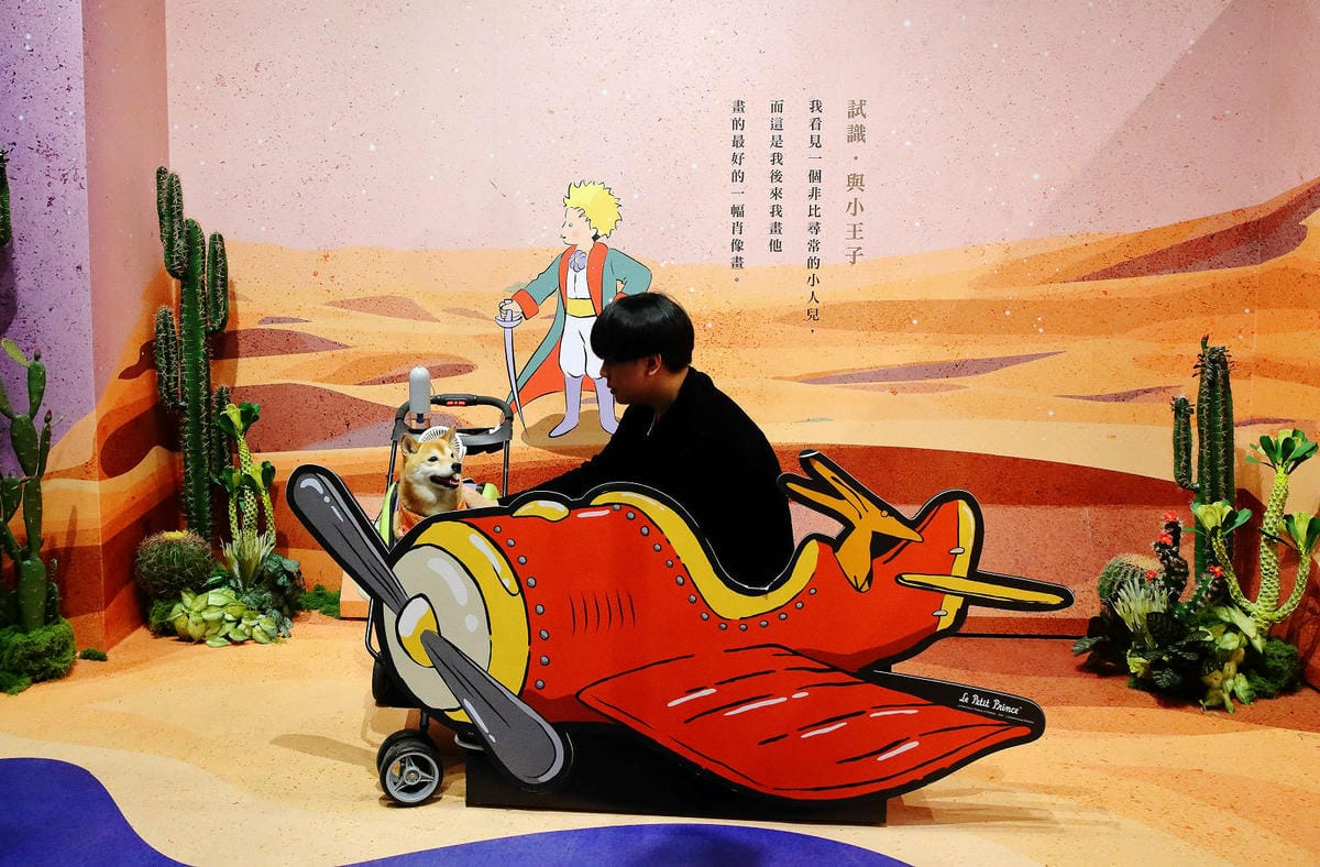 2025嘉義網美景點推薦！蓋婭莊園x康倪時代美學生技園區，全