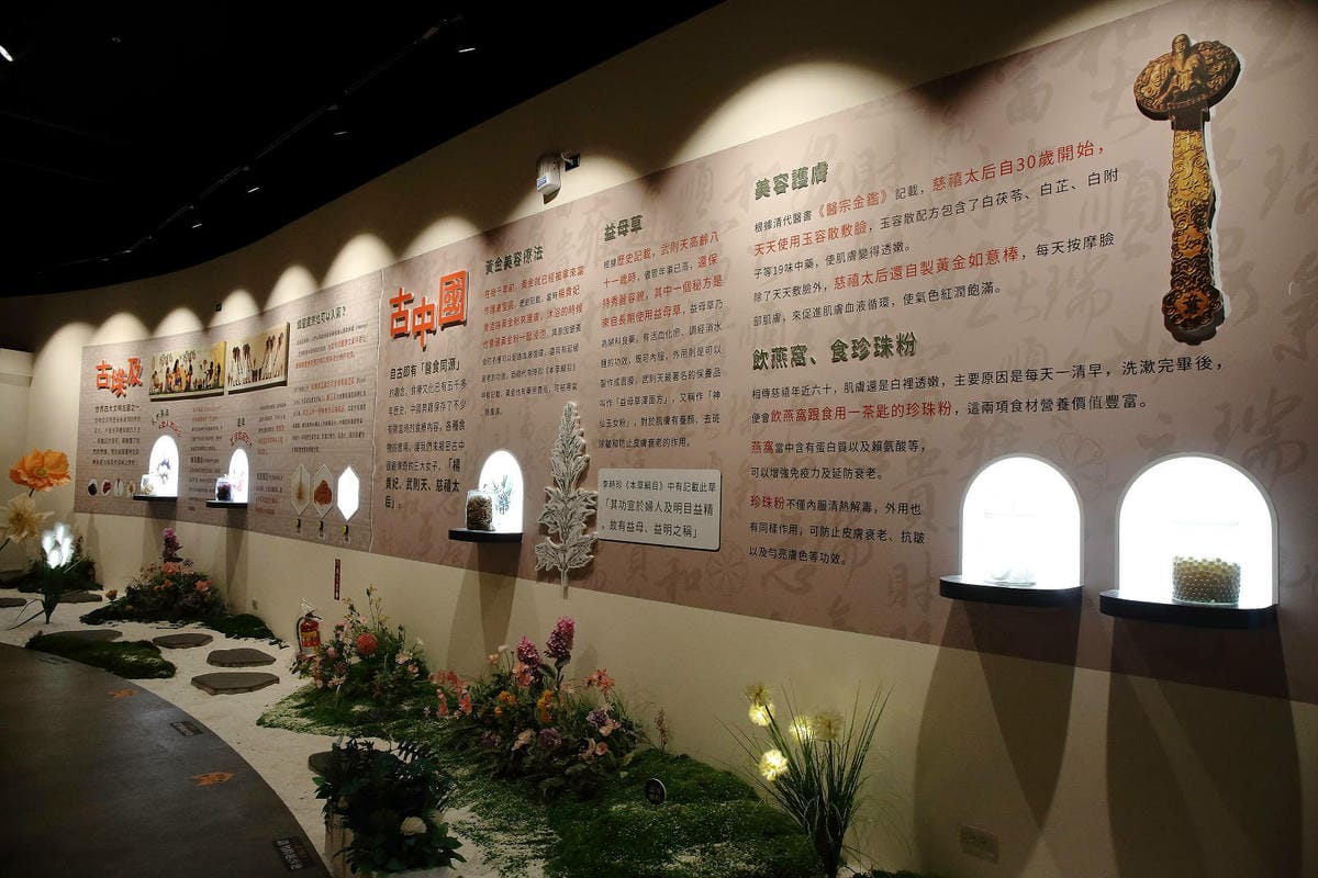 2025嘉義網美景點推薦！蓋婭莊園x康倪時代美學生技園區，全