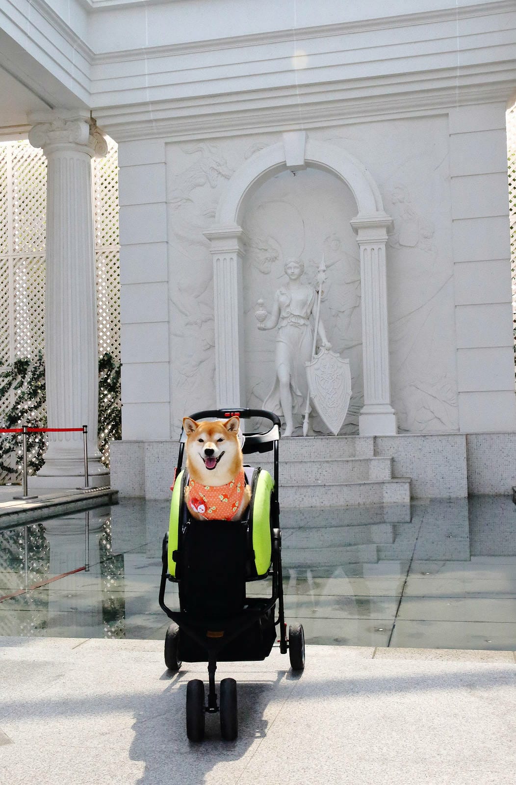 2025嘉義網美景點推薦！蓋婭莊園x康倪時代美學生技園區，全