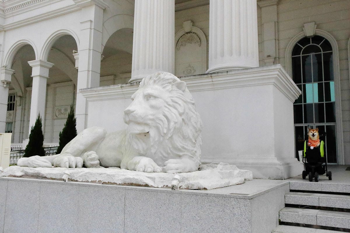 2025嘉義網美景點推薦！蓋婭莊園x康倪時代美學生技園區，全