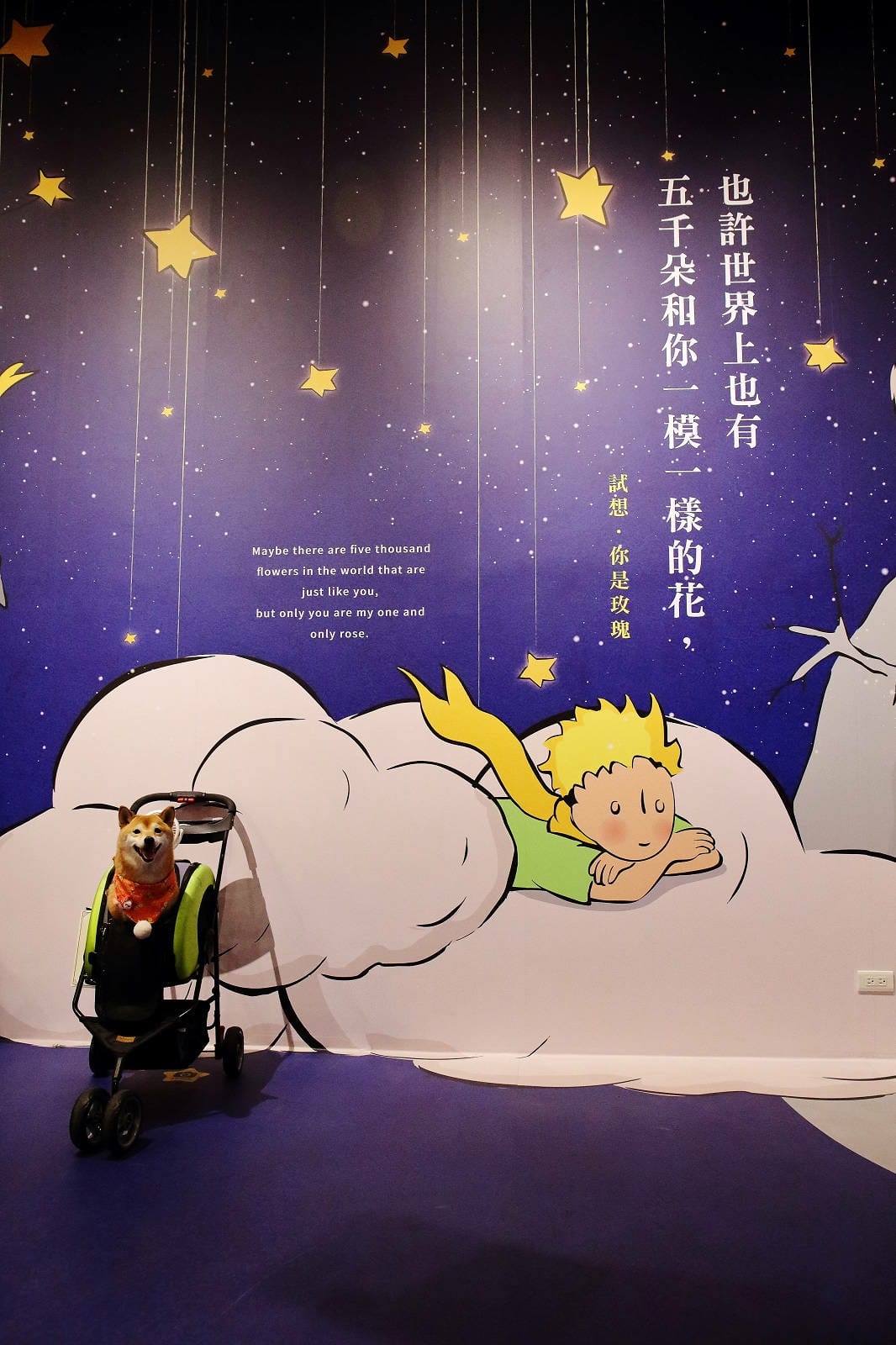 2025嘉義網美景點推薦！蓋婭莊園x康倪時代美學生技園區，全