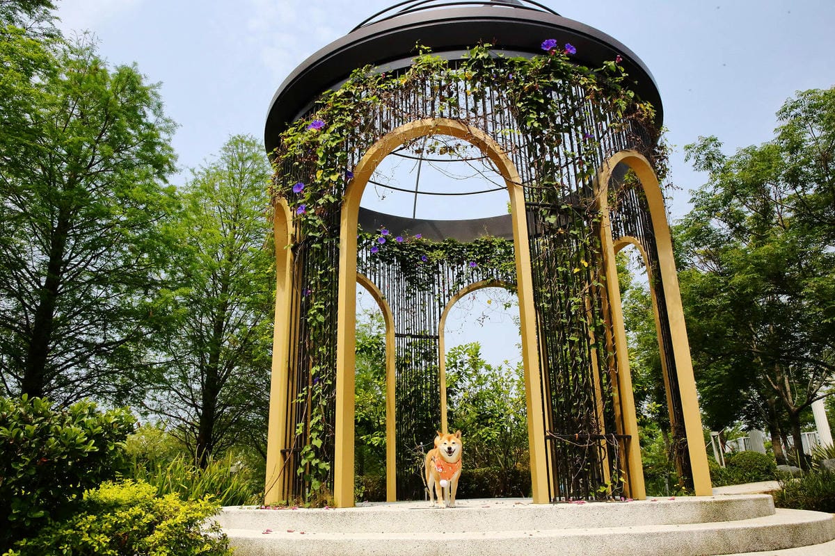 2025嘉義網美景點推薦！蓋婭莊園x康倪時代美學生技園區，全