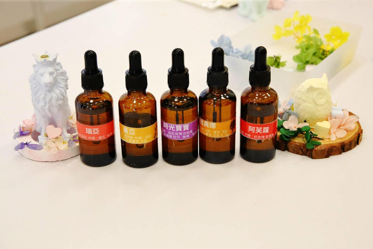 2025嘉義網美景點推薦！蓋婭莊園x康倪時代美學生技園區，全