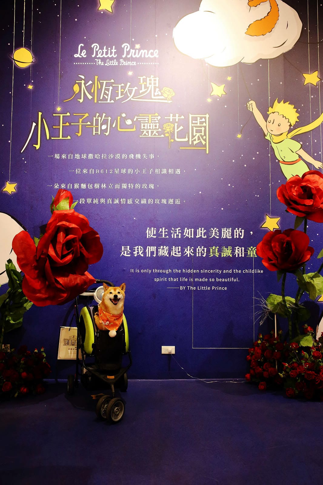 2025嘉義網美景點推薦！蓋婭莊園x康倪時代美學生技園區，全