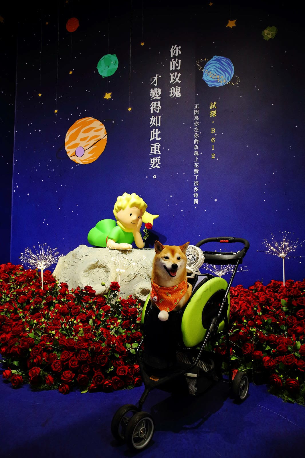 2025嘉義網美景點推薦！蓋婭莊園x康倪時代美學生技園區，全