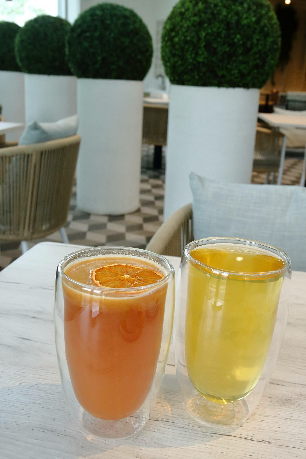 2025嘉義網美景點推薦！蓋婭莊園x康倪時代美學生技園區，全