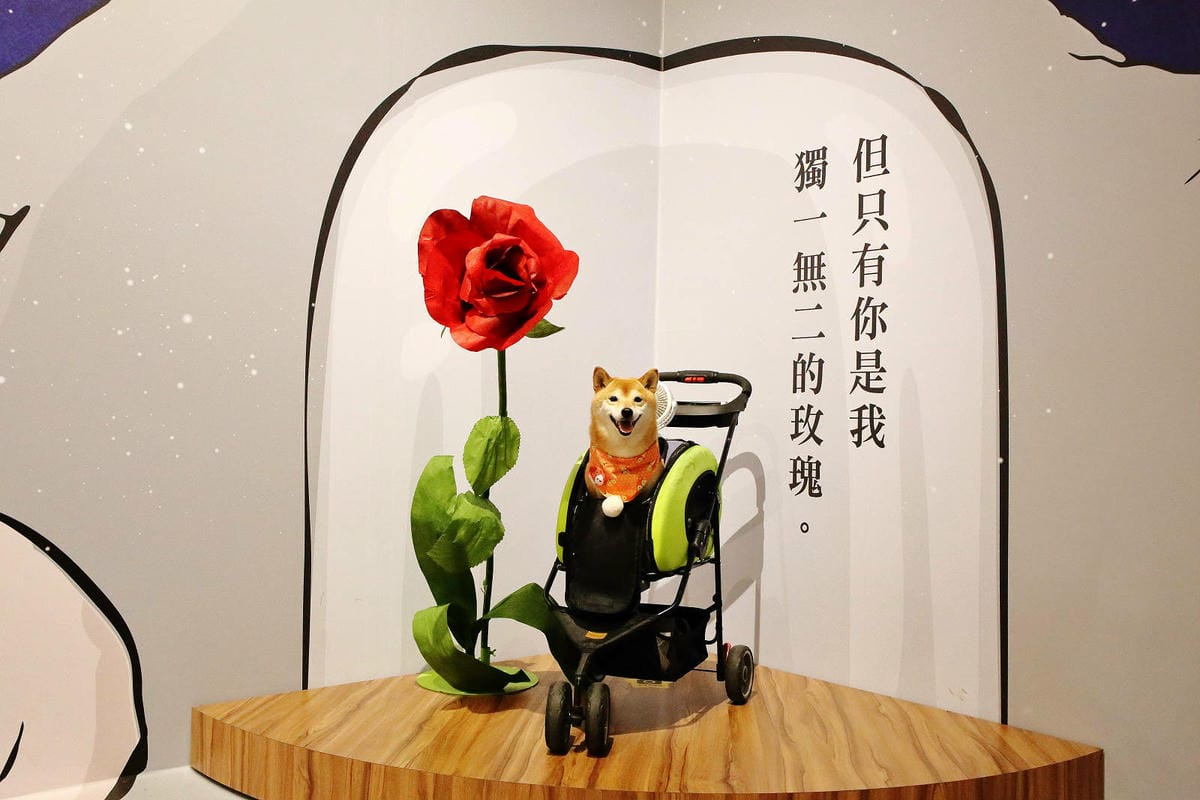 2025嘉義網美景點推薦！蓋婭莊園x康倪時代美學生技園區，全