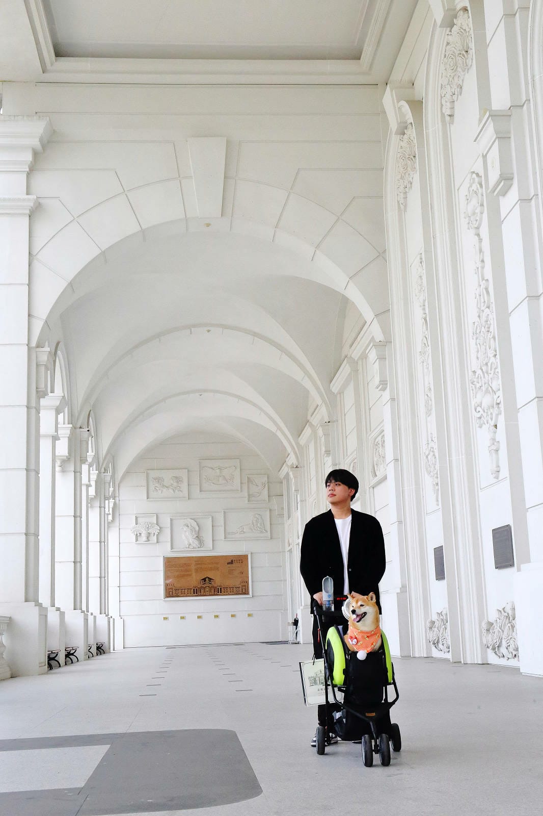 2025嘉義網美景點推薦！蓋婭莊園x康倪時代美學生技園區，全