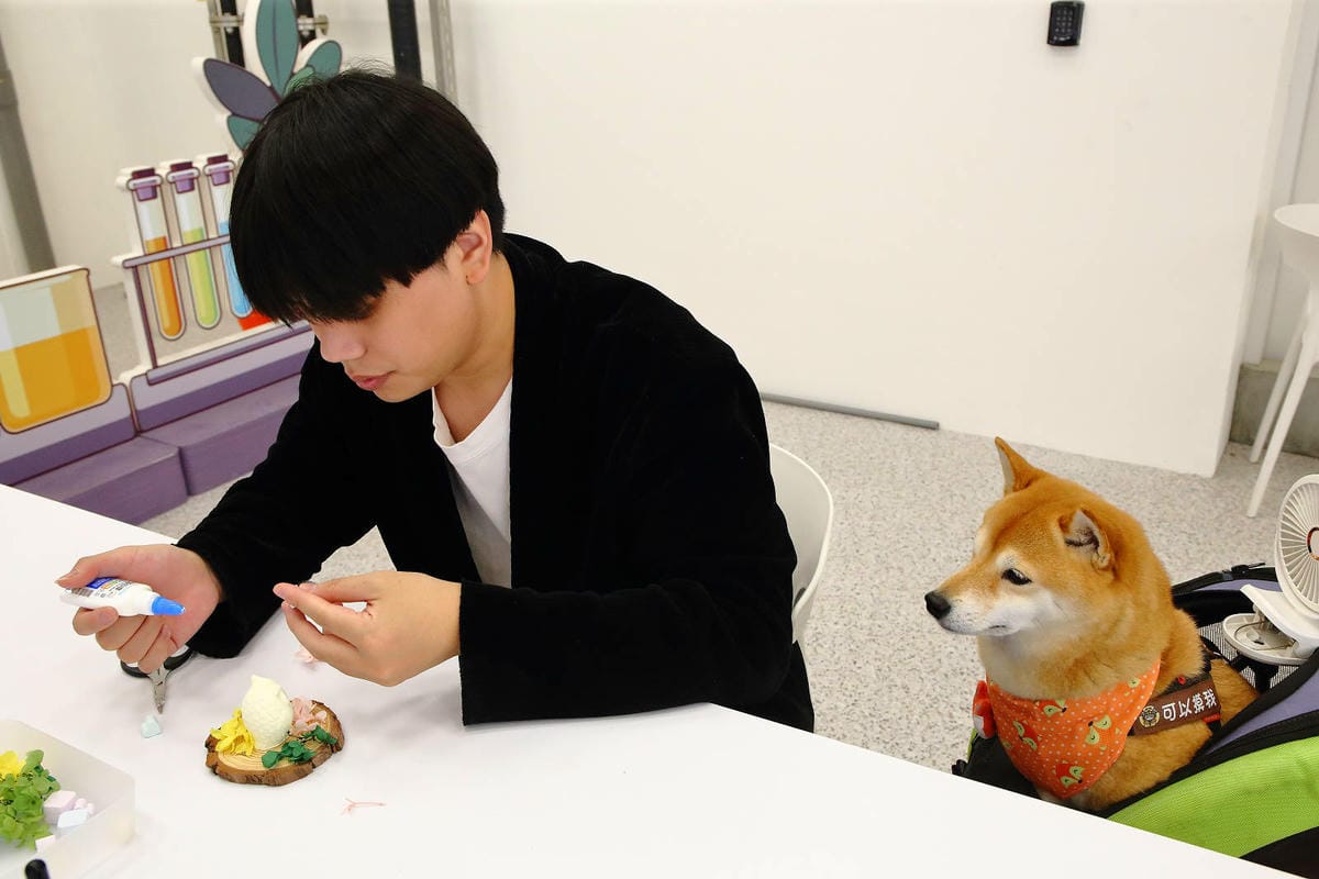 2025嘉義網美景點推薦！蓋婭莊園x康倪時代美學生技園區，全