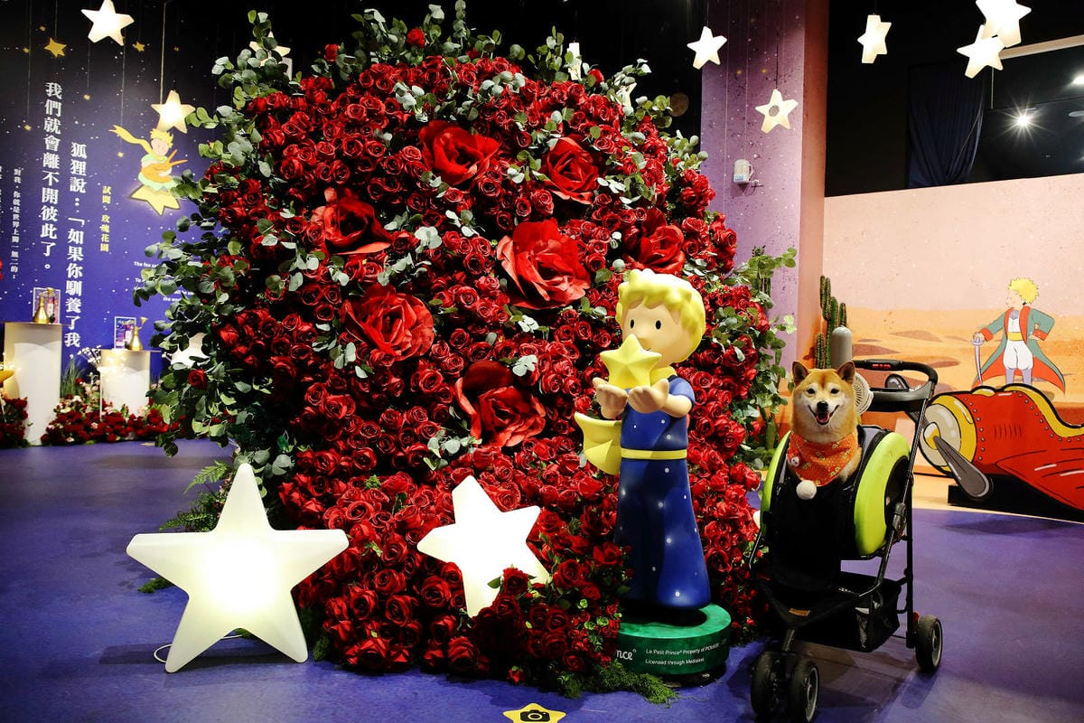 2025嘉義網美景點推薦！蓋婭莊園x康倪時代美學生技園區，全