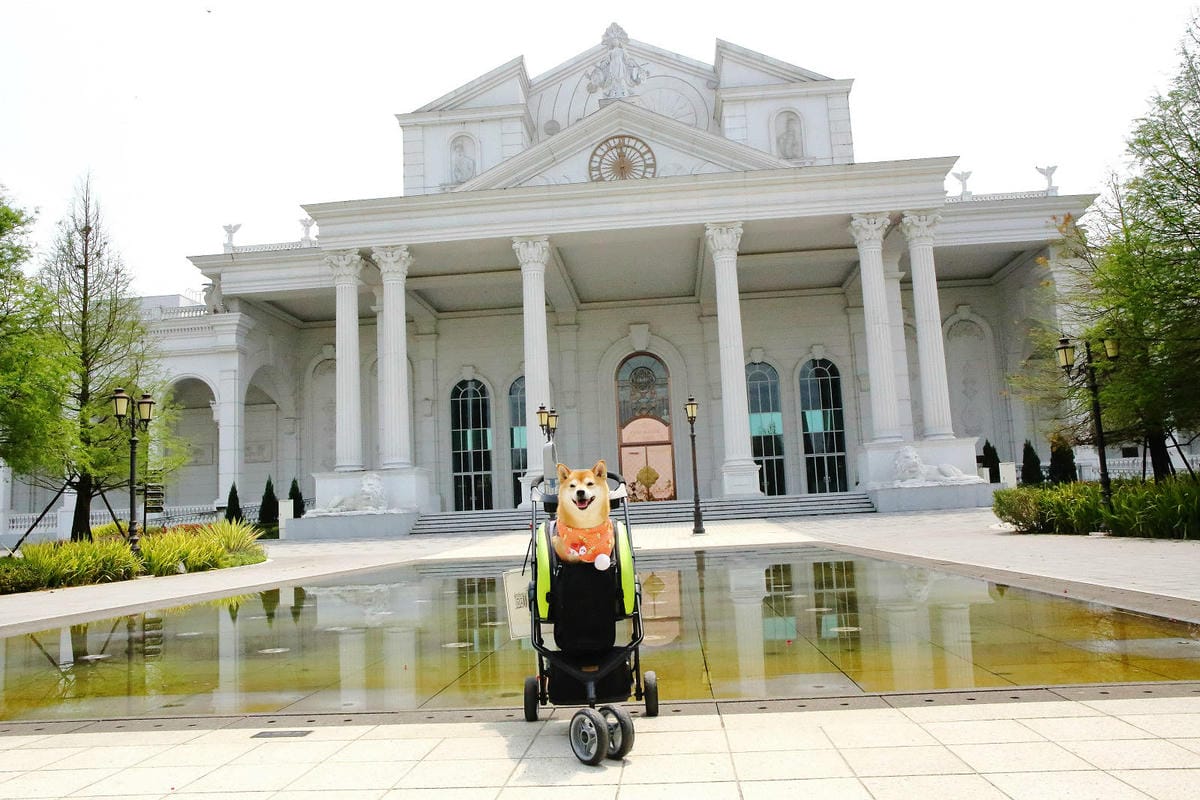 2025嘉義網美景點推薦！蓋婭莊園x康倪時代美學生技園區，全