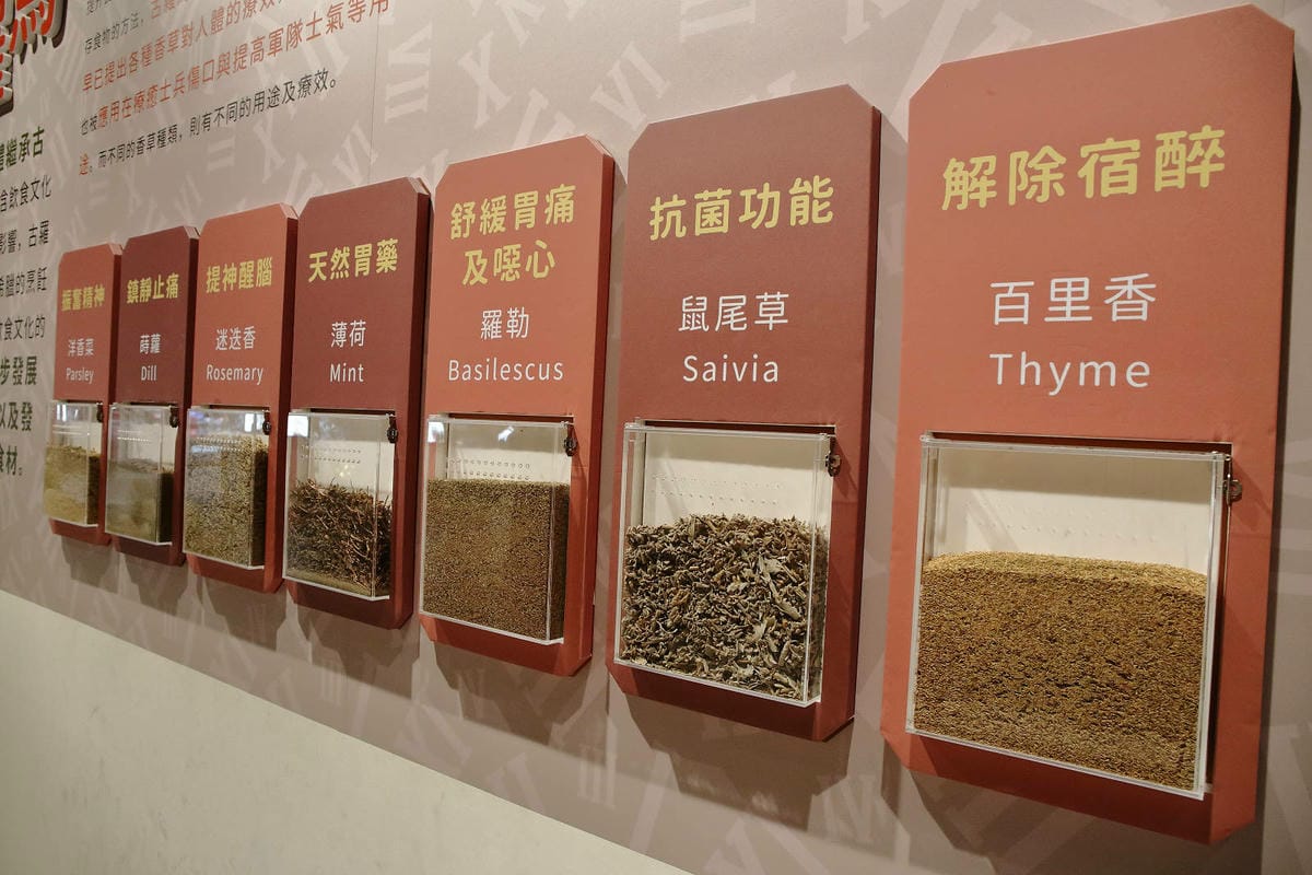 2025嘉義網美景點推薦！蓋婭莊園x康倪時代美學生技園區，全