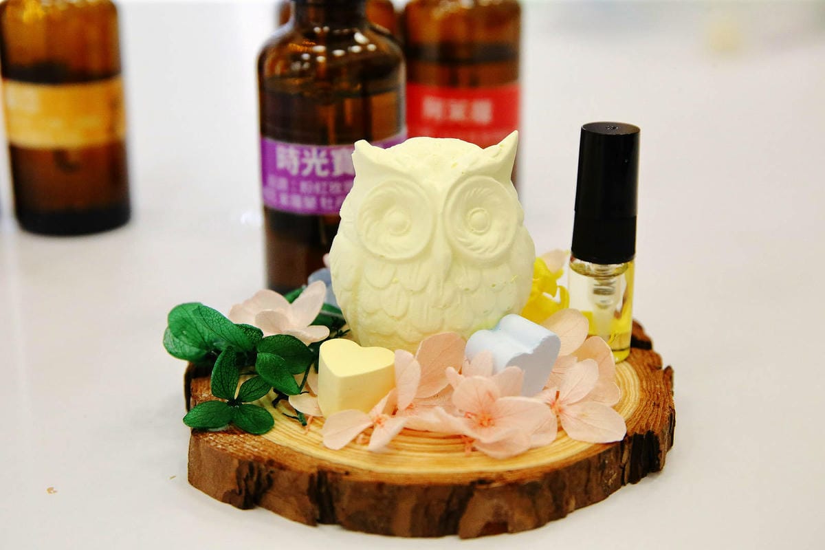 2025嘉義網美景點推薦！蓋婭莊園x康倪時代美學生技園區，全