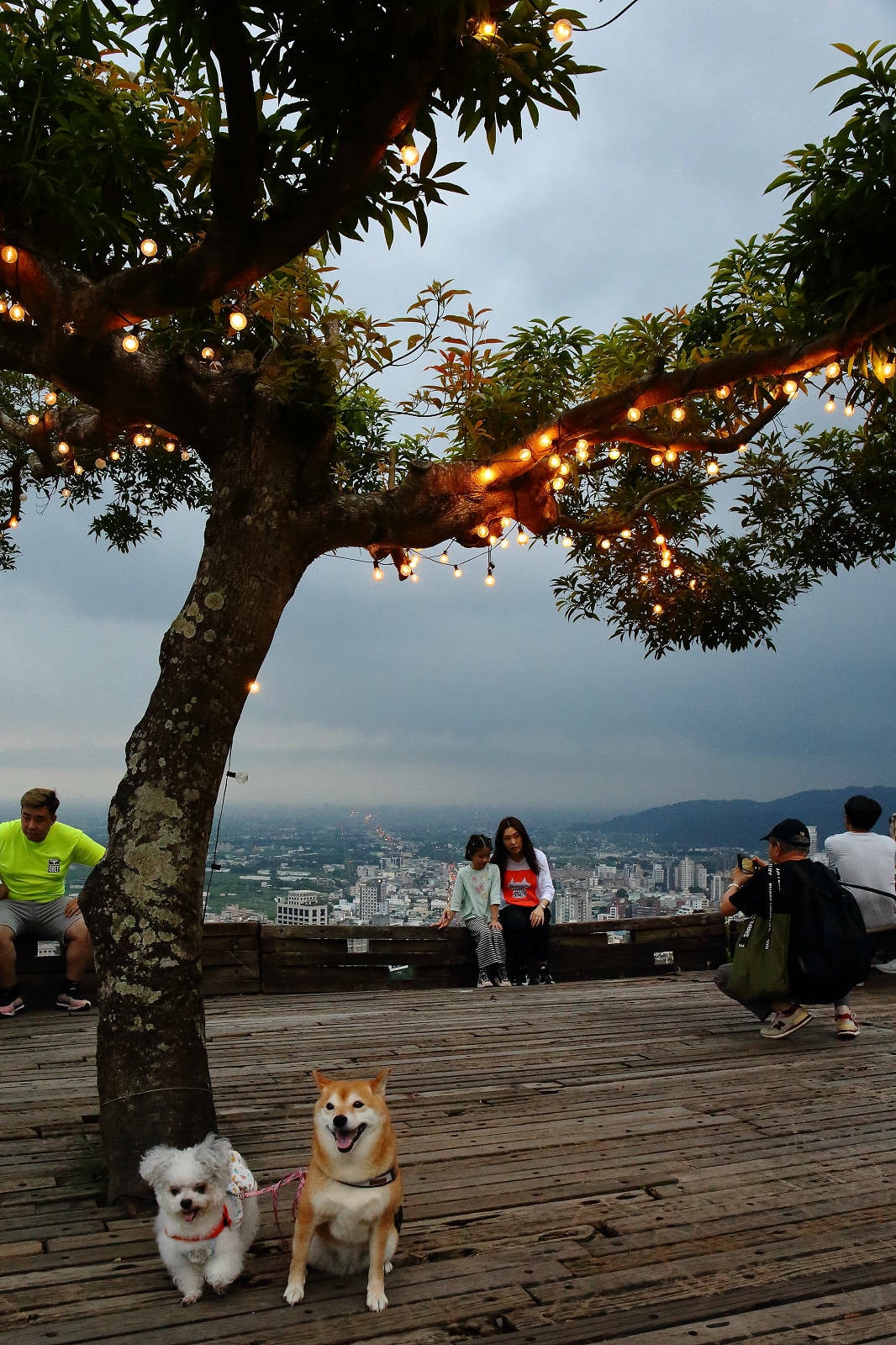 宜蘭必去無敵夜景!空ㄟ農場-宜蘭超人氣夜景餐廳,遠望龜山島、