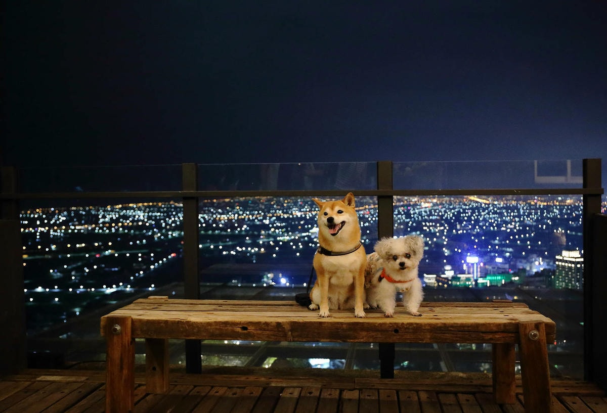 宜蘭必去無敵夜景!空ㄟ農場-宜蘭超人氣夜景餐廳,遠望龜山島、