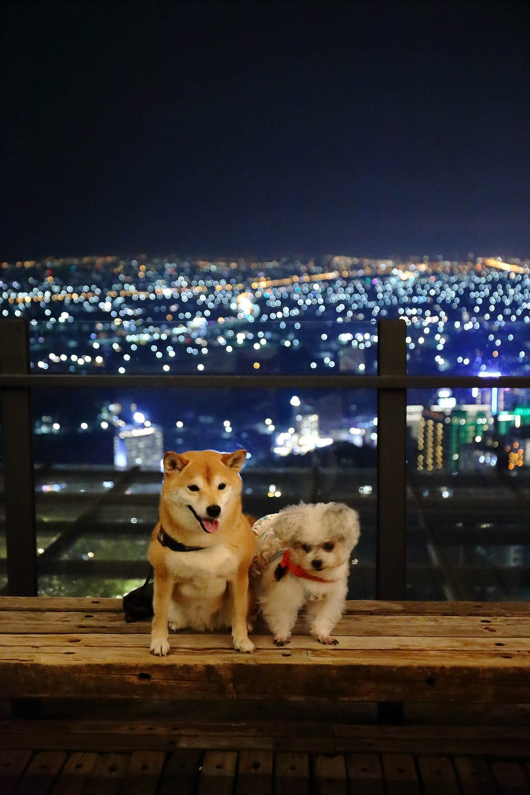 宜蘭必去無敵夜景!空ㄟ農場-宜蘭超人氣夜景餐廳,遠望龜山島、