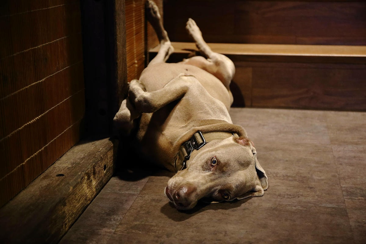 宜蘭必去無敵夜景!空ㄟ農場-宜蘭超人氣夜景餐廳,遠望龜山島、
