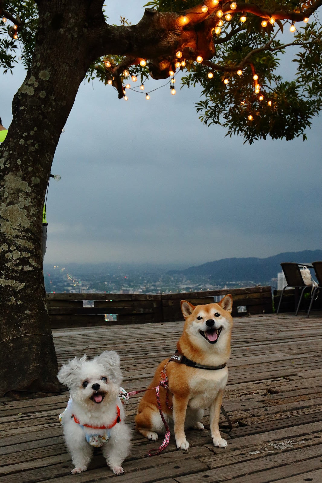 宜蘭必去無敵夜景!空ㄟ農場-宜蘭超人氣夜景餐廳,遠望龜山島、