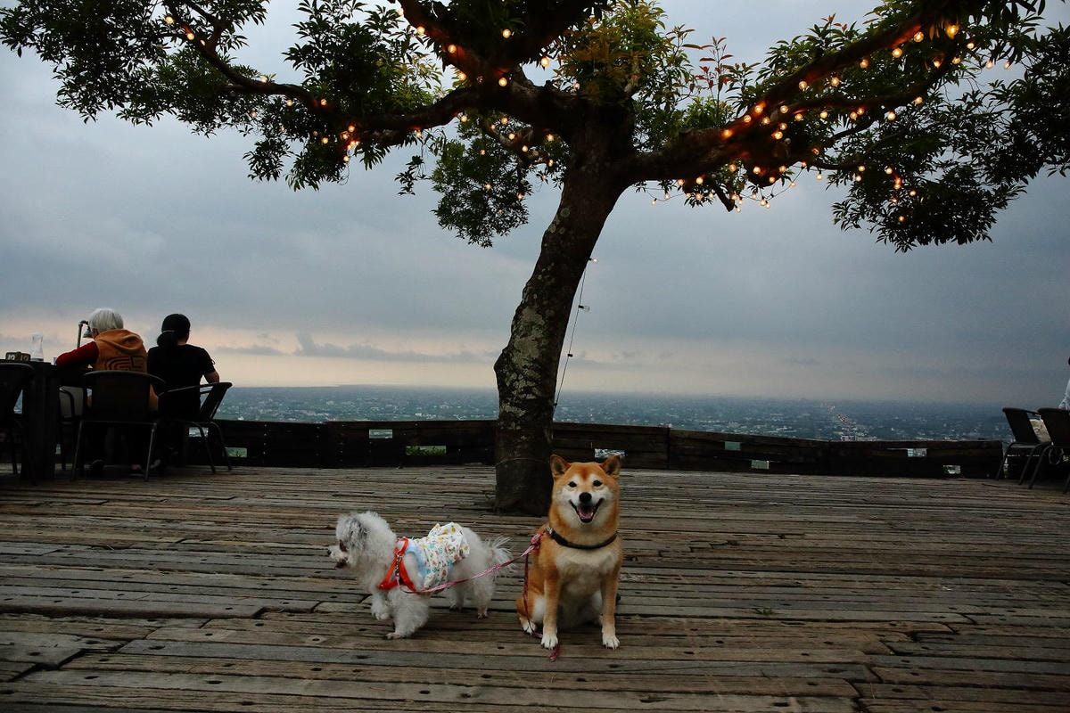 宜蘭必去無敵夜景!空ㄟ農場-宜蘭超人氣夜景餐廳,遠望龜山島、
