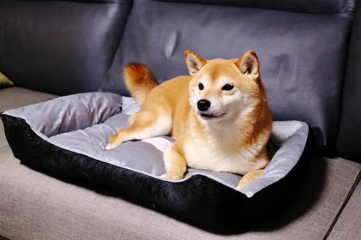 蝦皮特選官方直營賣場!當日到貨免運費!便宜不夠,還要超值!絕