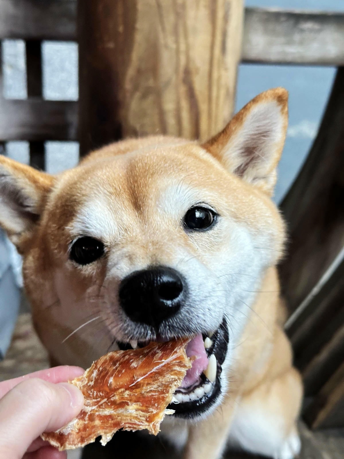 蝦皮特選官方直營賣場!當日到貨免運費!便宜不夠,還要超值!絕