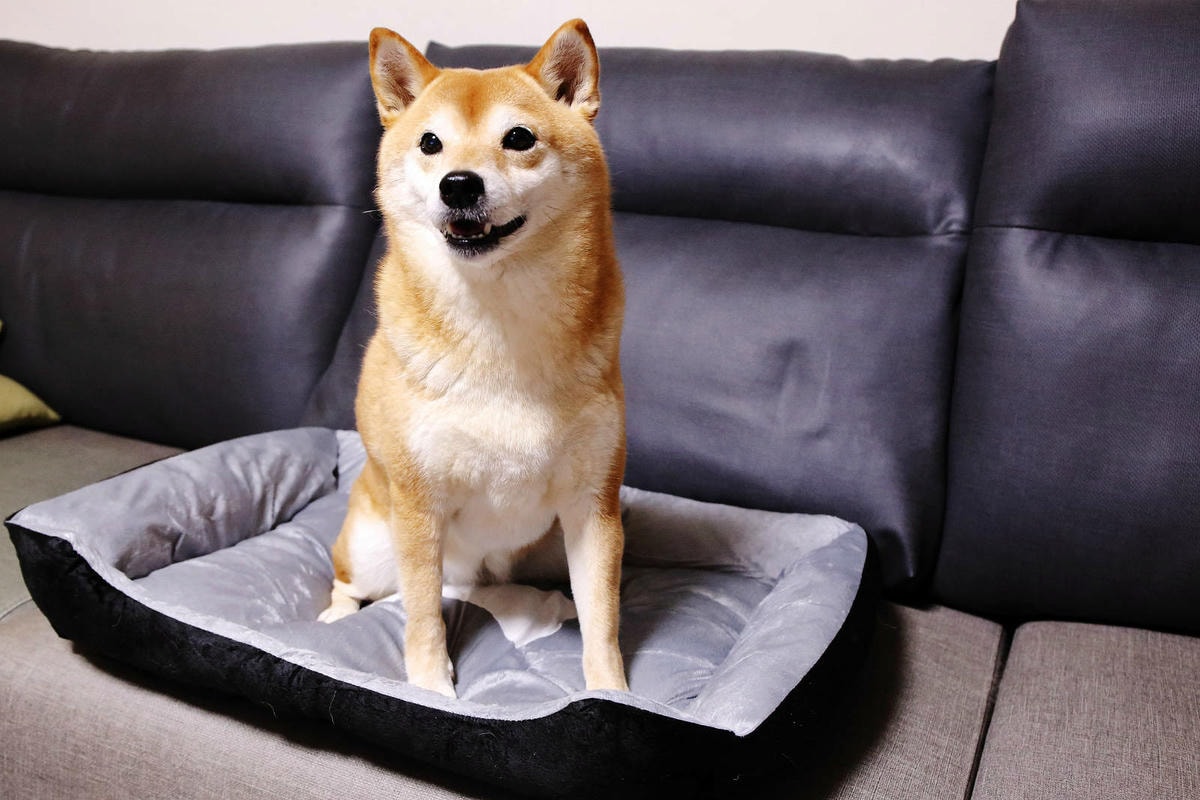 蝦皮特選官方直營賣場!當日到貨免運費!便宜不夠,還要超值!絕