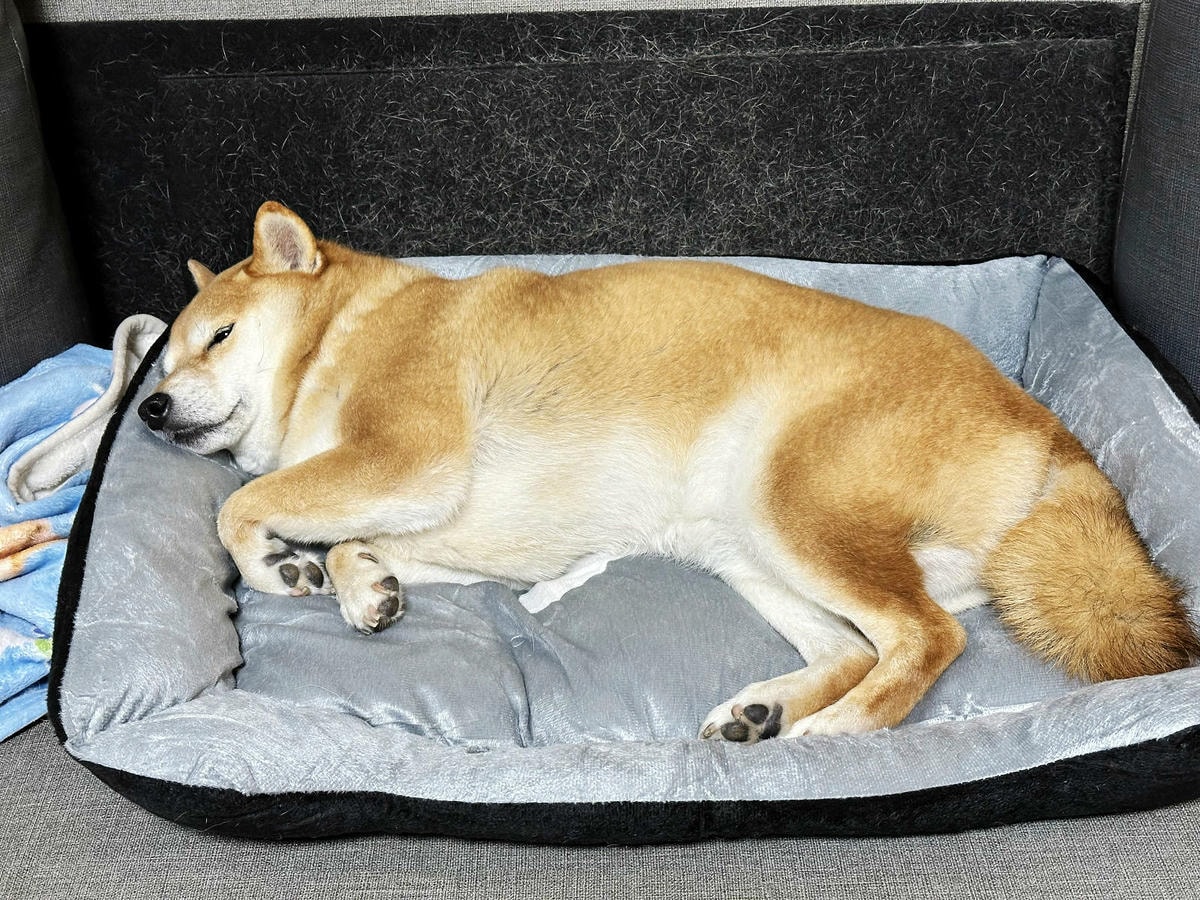 蝦皮特選官方直營賣場!當日到貨免運費!便宜不夠,還要超值!絕