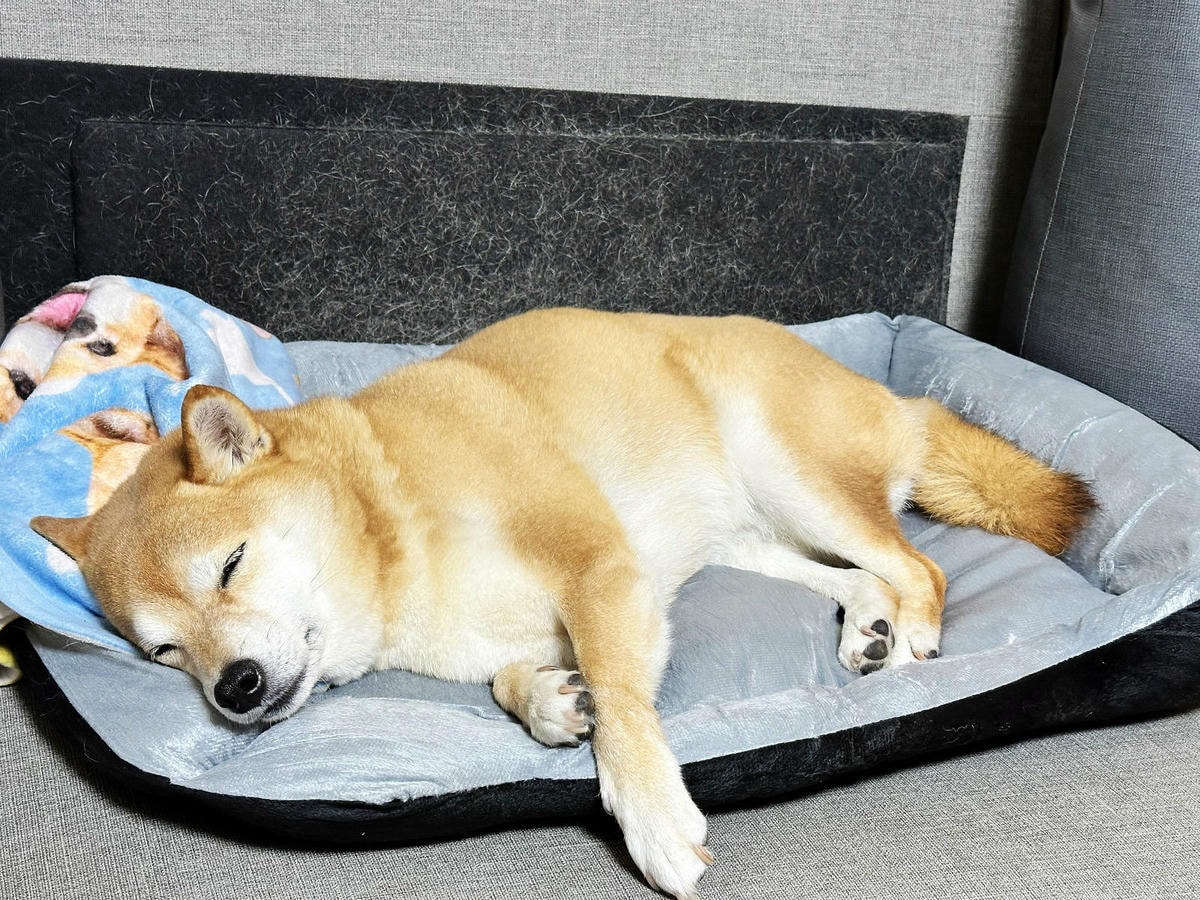 蝦皮特選官方直營賣場!當日到貨免運費!便宜不夠,還要超值!絕