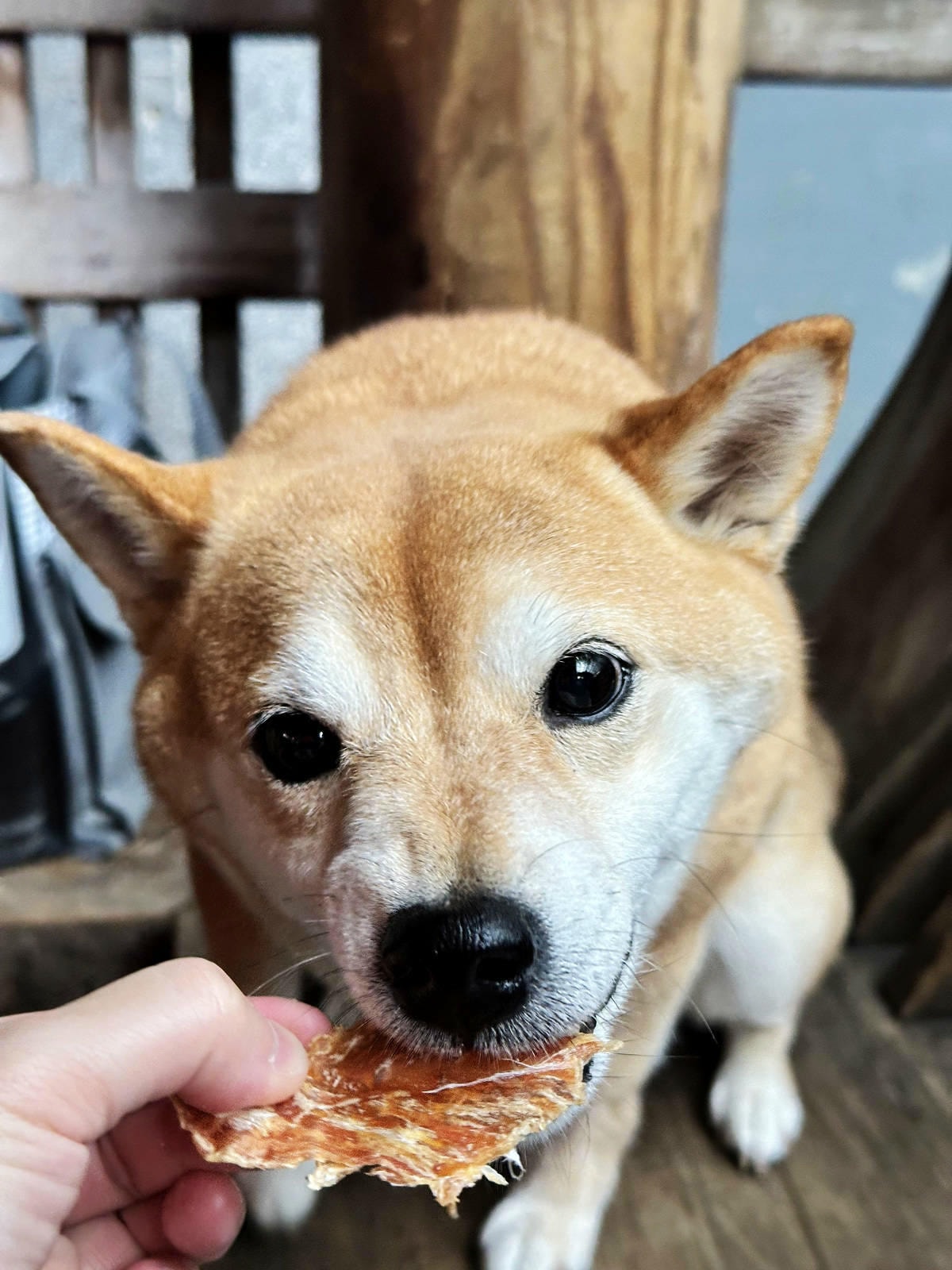 蝦皮特選官方直營賣場!當日到貨免運費!便宜不夠,還要超值!絕