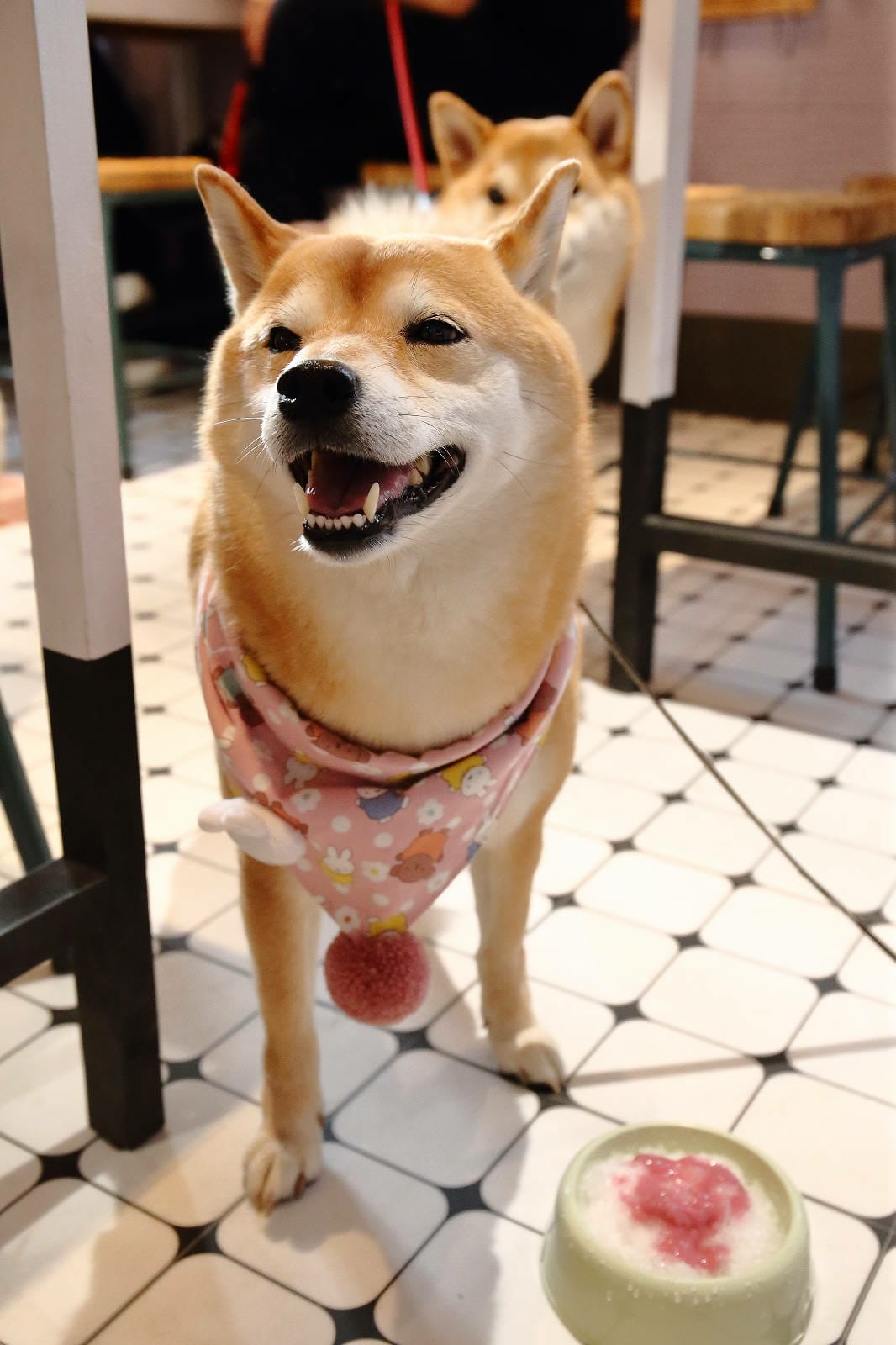 浪花丸かき氷 宜蘭本店，招牌彩色小熊刨冰和藍色富士山冰，可愛