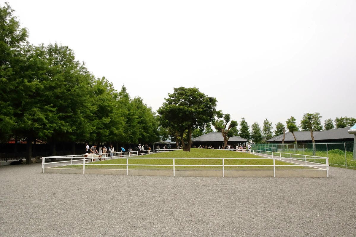 張美阿嬤農場2.0版，宜蘭全新萌寵景觀餐廳【樹懶餐廳】，玻璃