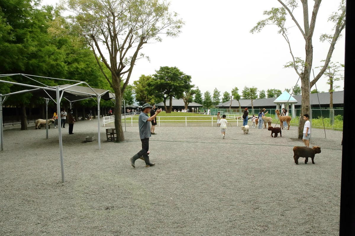 張美阿嬤農場2.0版，宜蘭全新萌寵景觀餐廳【樹懶餐廳】，玻璃