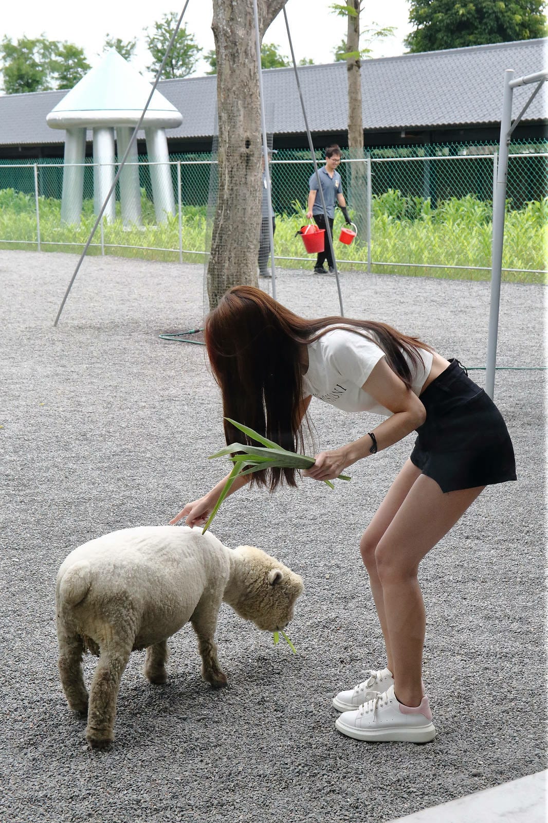 張美阿嬤農場2.0版，宜蘭全新萌寵景觀餐廳【樹懶餐廳】，玻璃