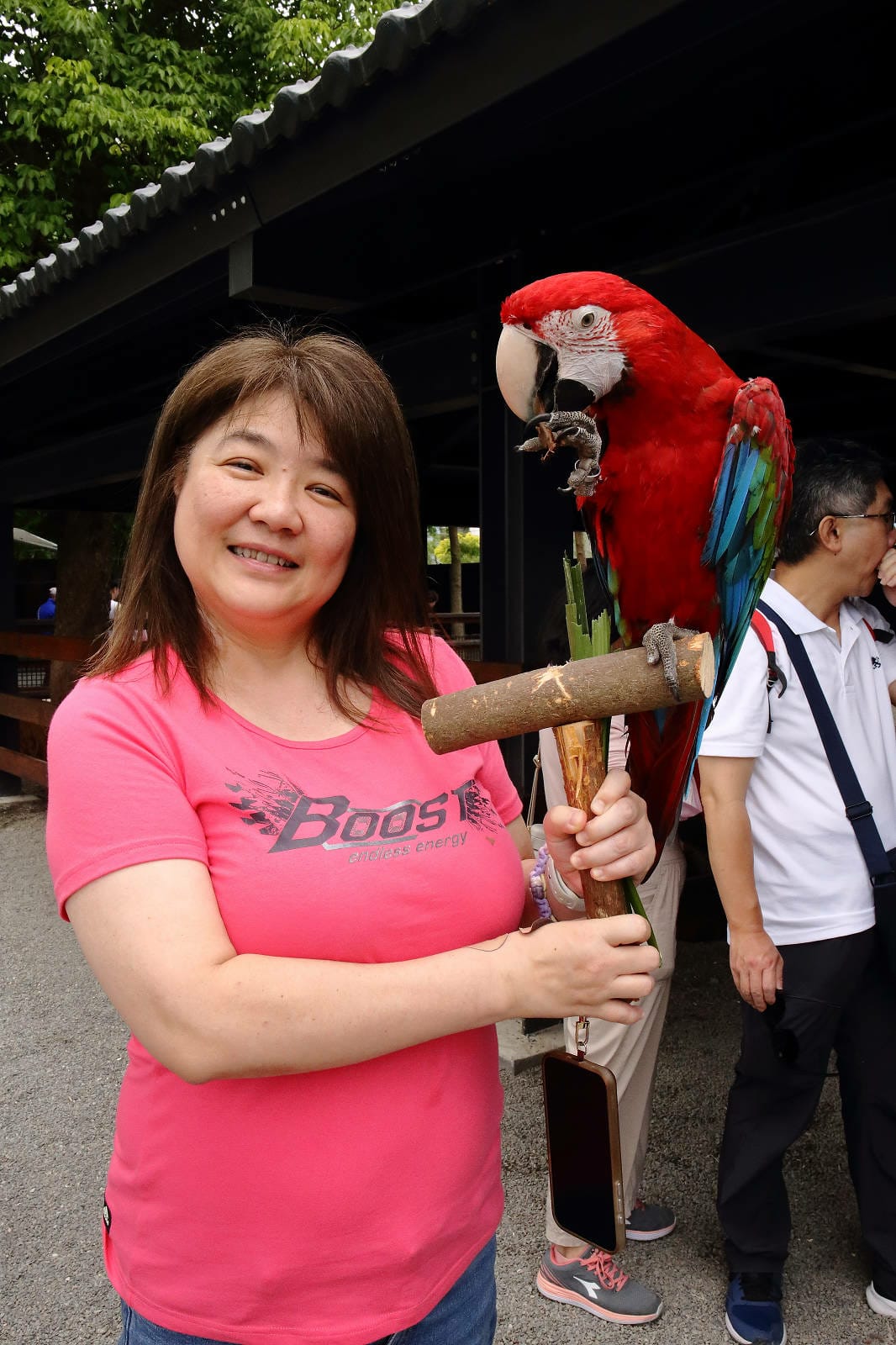 張美阿嬤農場2.0版，宜蘭全新萌寵景觀餐廳【樹懶餐廳】，玻璃
