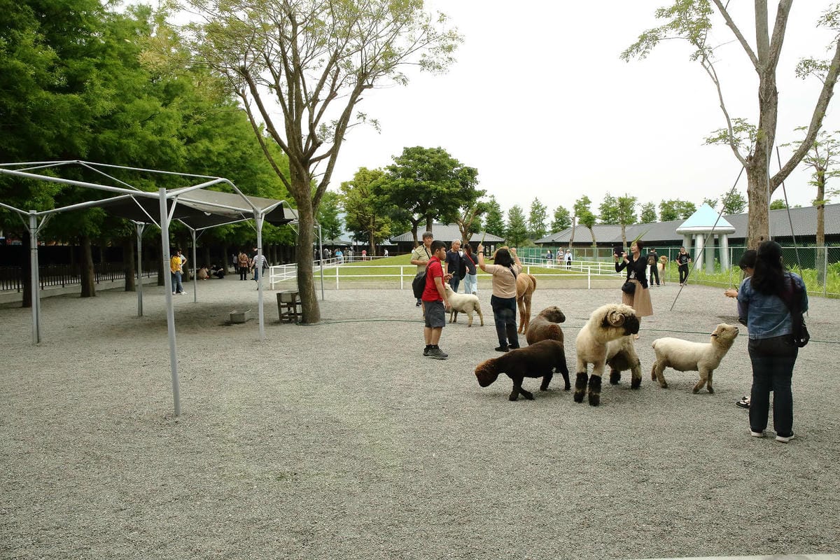 張美阿嬤農場2.0版，宜蘭全新萌寵景觀餐廳【樹懶餐廳】，玻璃