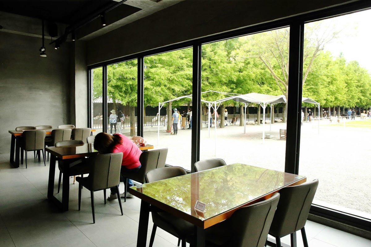張美阿嬤農場2.0版，宜蘭全新萌寵景觀餐廳【樹懶餐廳】，玻璃