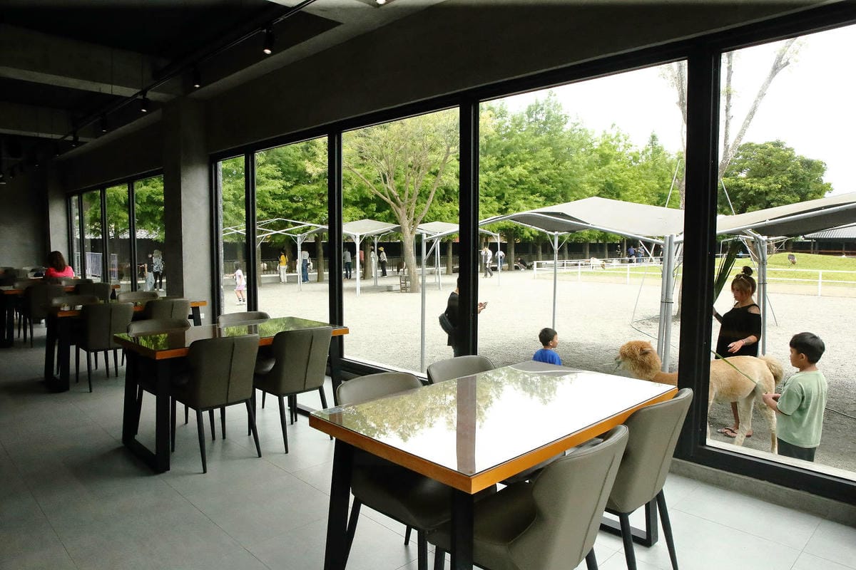 張美阿嬤農場2.0版，宜蘭全新萌寵景觀餐廳【樹懶餐廳】，玻璃