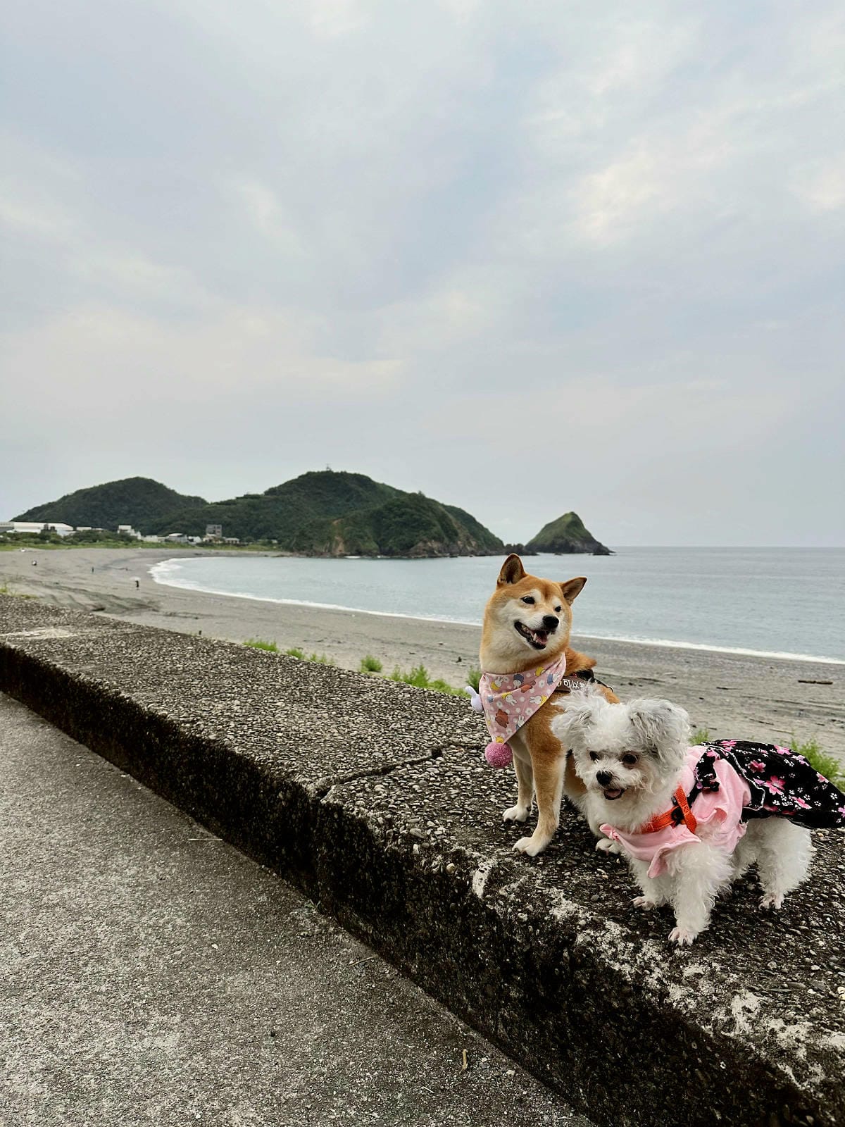 「笑ㄟ咖啡」宜蘭南方澳海景餐廳，坐擁內埤情人灣的無敵海景，踩