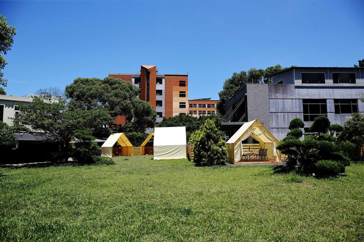 桃園龜山狗狗專屬樂園再+1！【Nose.Y Café 】林口