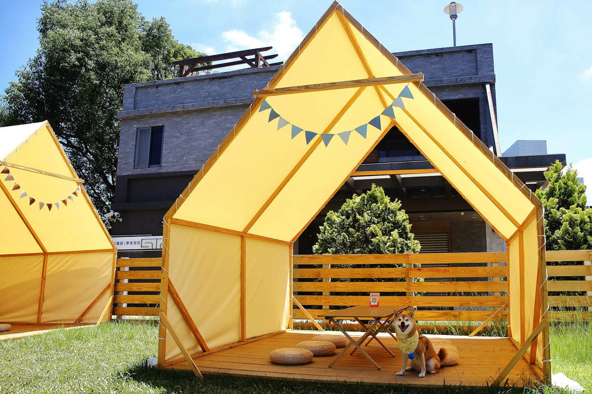 桃園龜山狗狗專屬樂園再+1！【Nose.Y Café 】林口