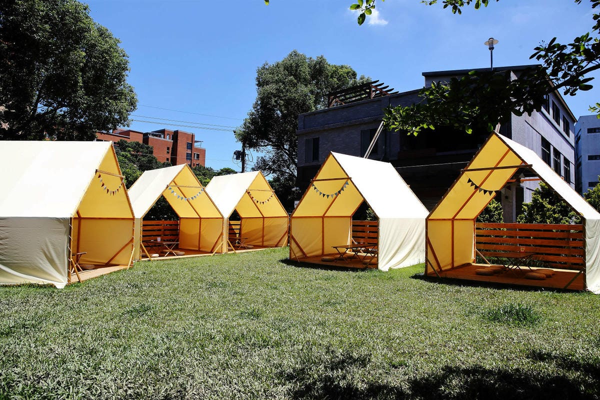 桃園龜山狗狗專屬樂園再+1！【Nose.Y Café 】林口