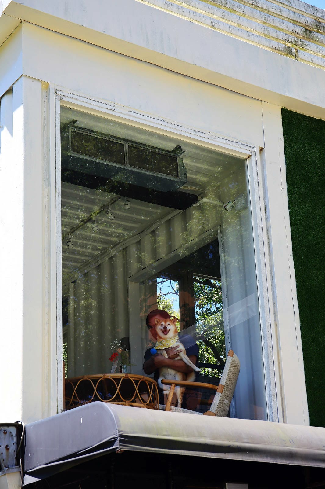 桃園龜山狗狗專屬樂園再+1！【Nose.Y Café 】林口